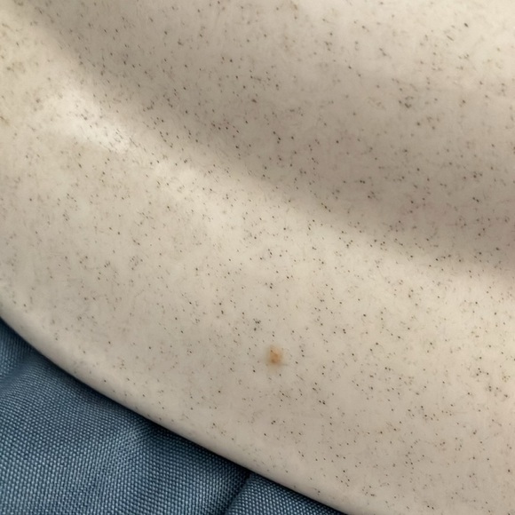 Mikasa: Garden Club DAY DREAMS (EC 461) Dinner Plates- lot of 2- 10 3/4" length - Picture 7 of 15